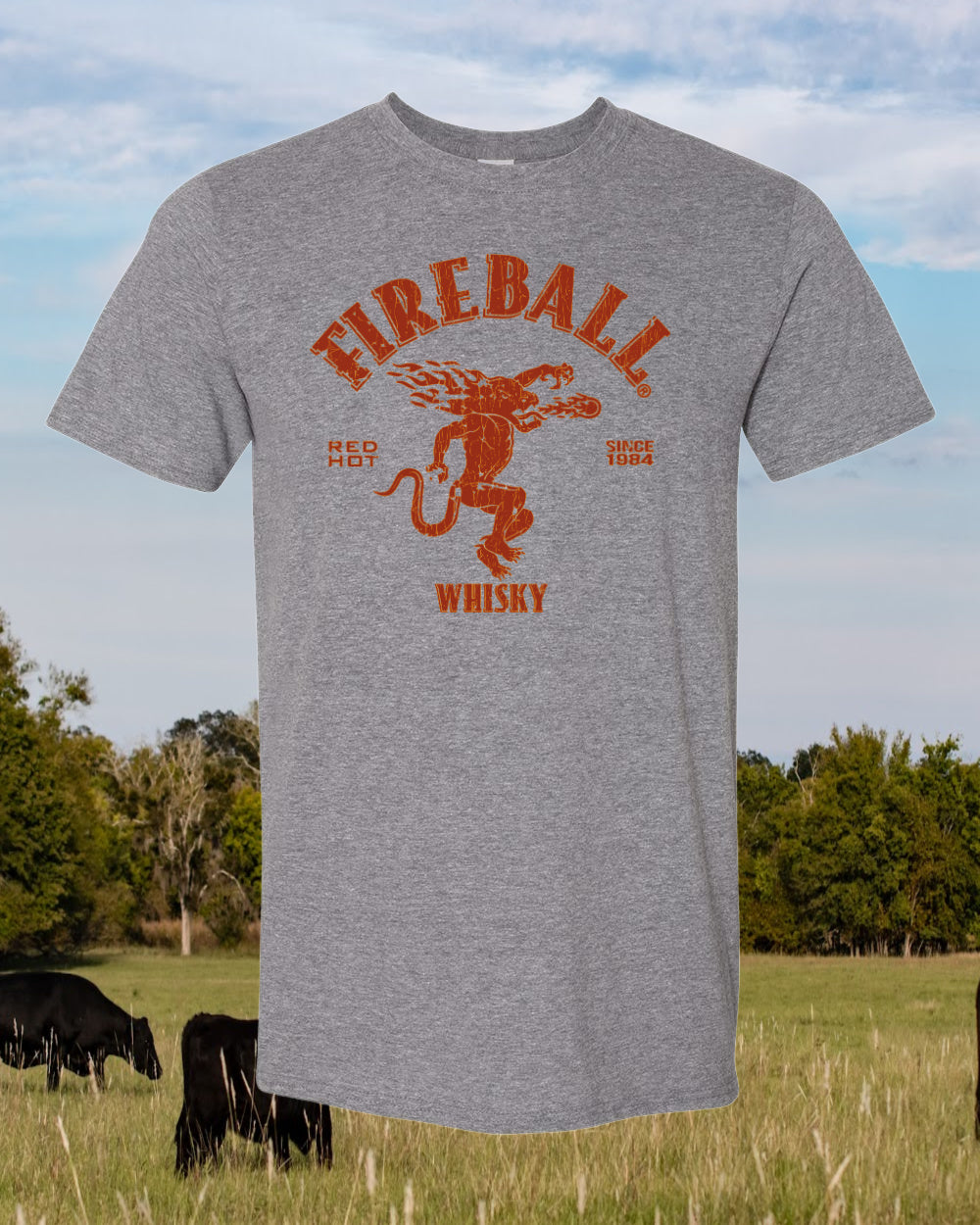 DTF Transfer Fire Ball Vintage