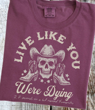 T-Shirt Or Sweatshirt Western Live Like You Were Dying