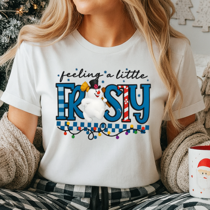 Sweatshirt Or Hoodie Feeling a Little Frosty