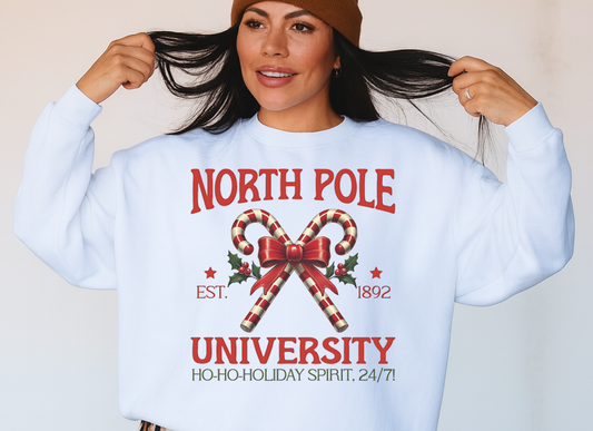 DTF Transfer – Vintage North Pole University Holiday Print