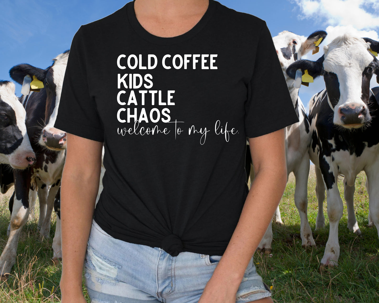 DTF Transfer Humor - Cold Coffee Kids Cattle Chaos Design