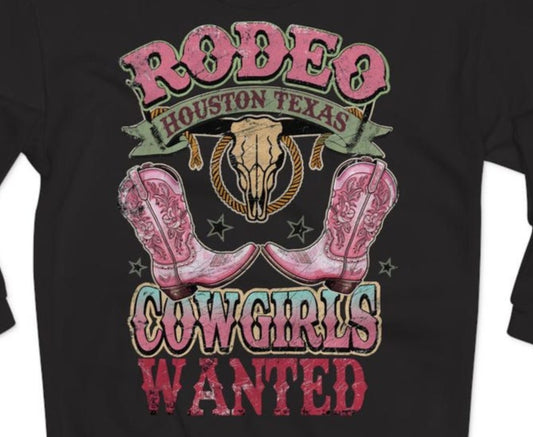 DTF Transfer Rodeo Cowgirls Wanted - Houston Texas Western