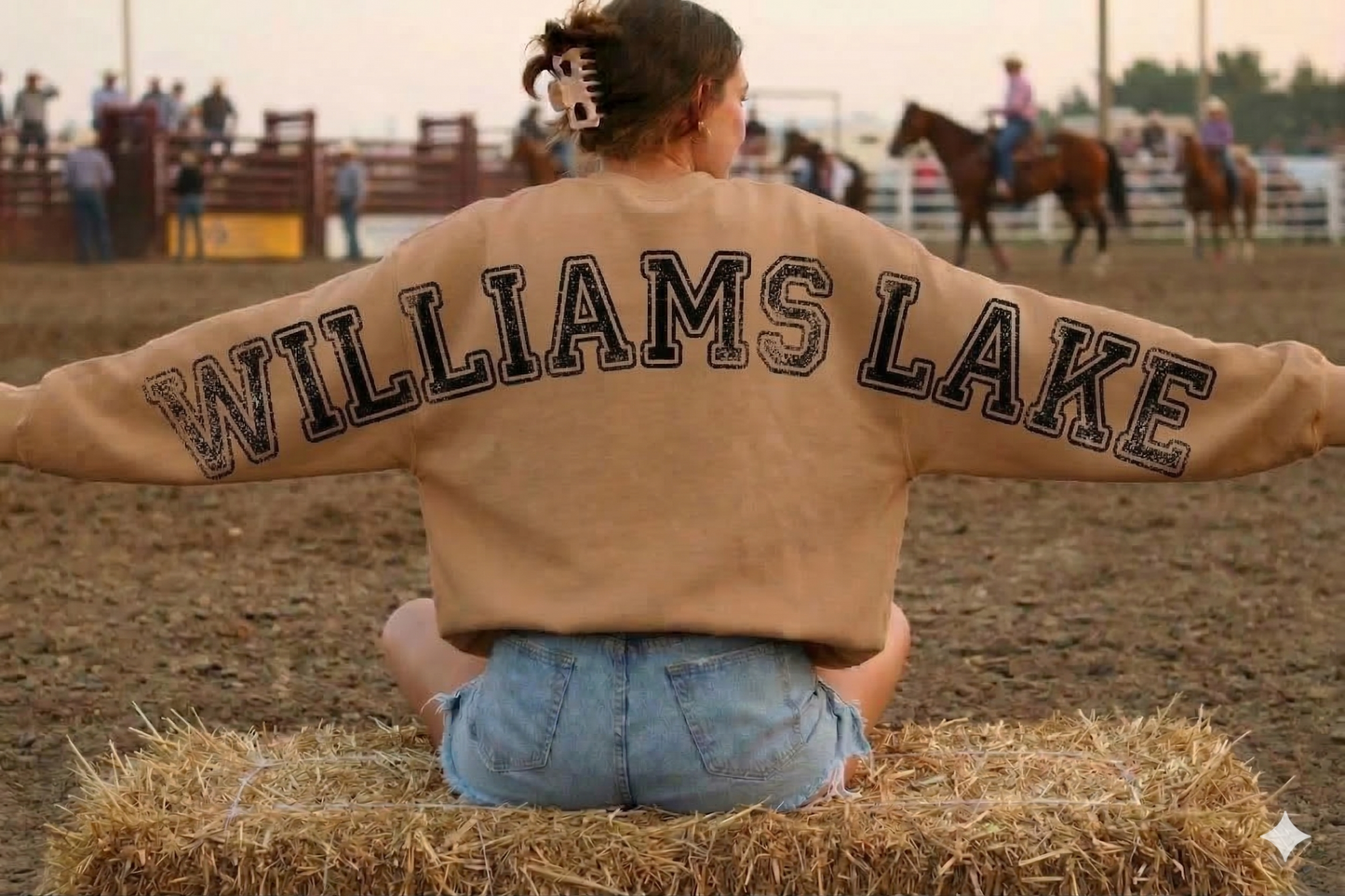 DTF Transfer Williams Lake Distressed Varsity Lettering – Oversized Sweatshirt Back Print