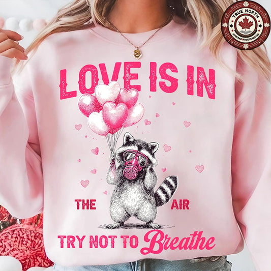 DTF Transfer Valentines – Love Is in the Air Raccoon Valentine