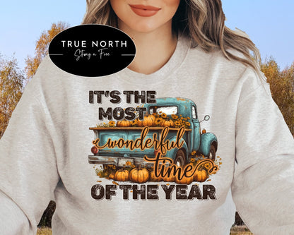 Sweatshirt Hoodie T-Shirt Fall The Most Wonderful Time Of The Year