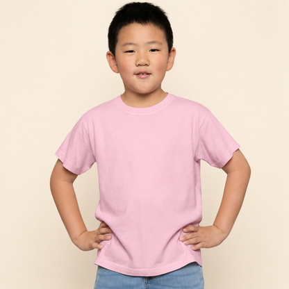 ATC1700Y blank garment professional cover