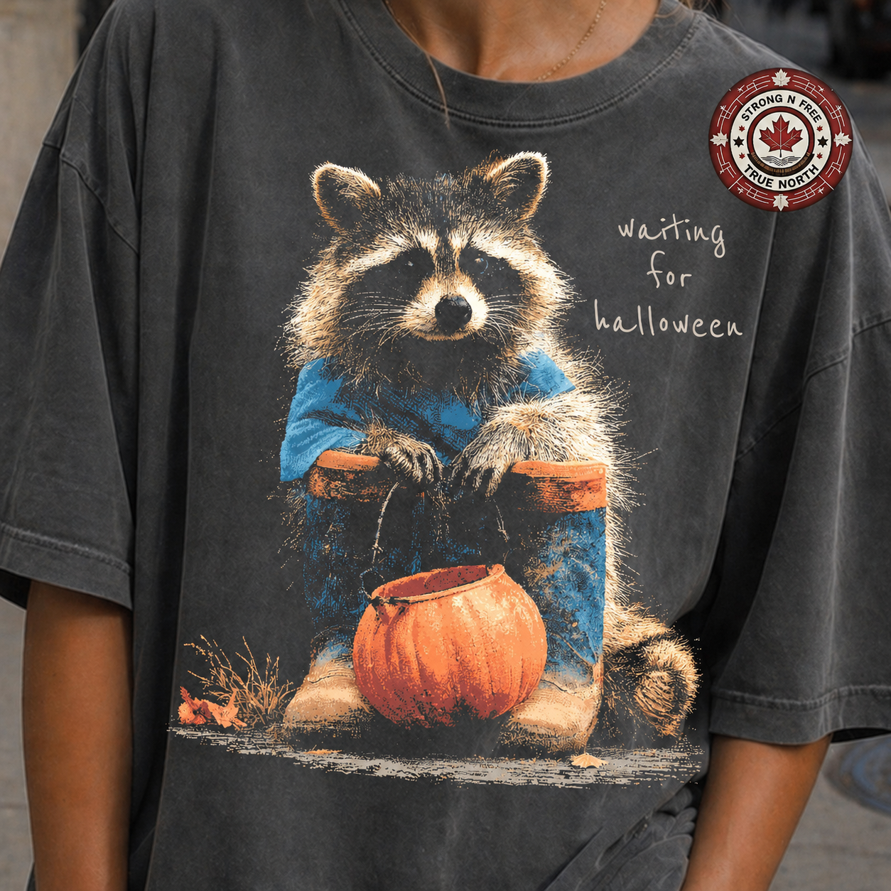 Waiting for Halloween raccoon ready-to-press DTF transfer photo 1