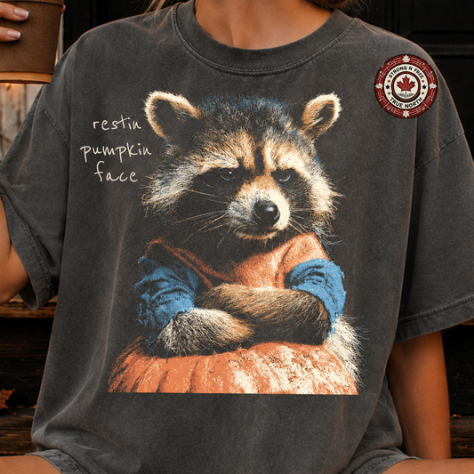 Resting pumpkin face raccoon ready-to-press DTF transfer photo 1