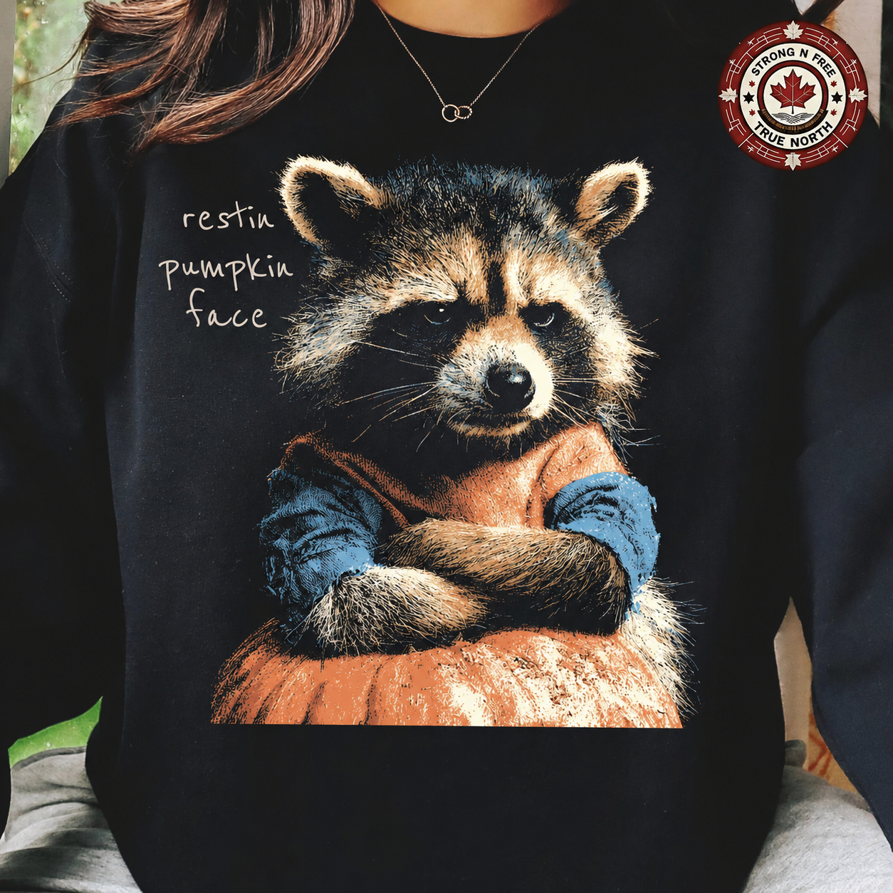 Resting pumpkin face raccoon ready-to-press DTF transfer photo 2