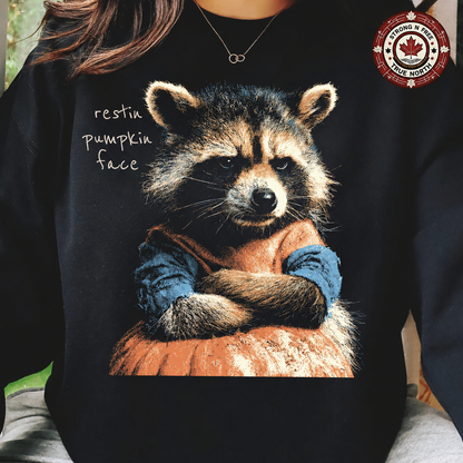 Resting pumpkin face raccoon ready-to-press DTF transfer photo 2