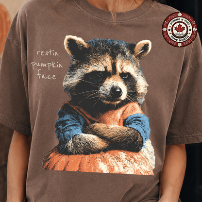 Resting pumpkin face raccoon ready-to-press DTF transfer photo 3