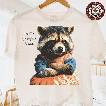 Resting pumpkin face raccoon ready-to-press DTF transfer photo 4