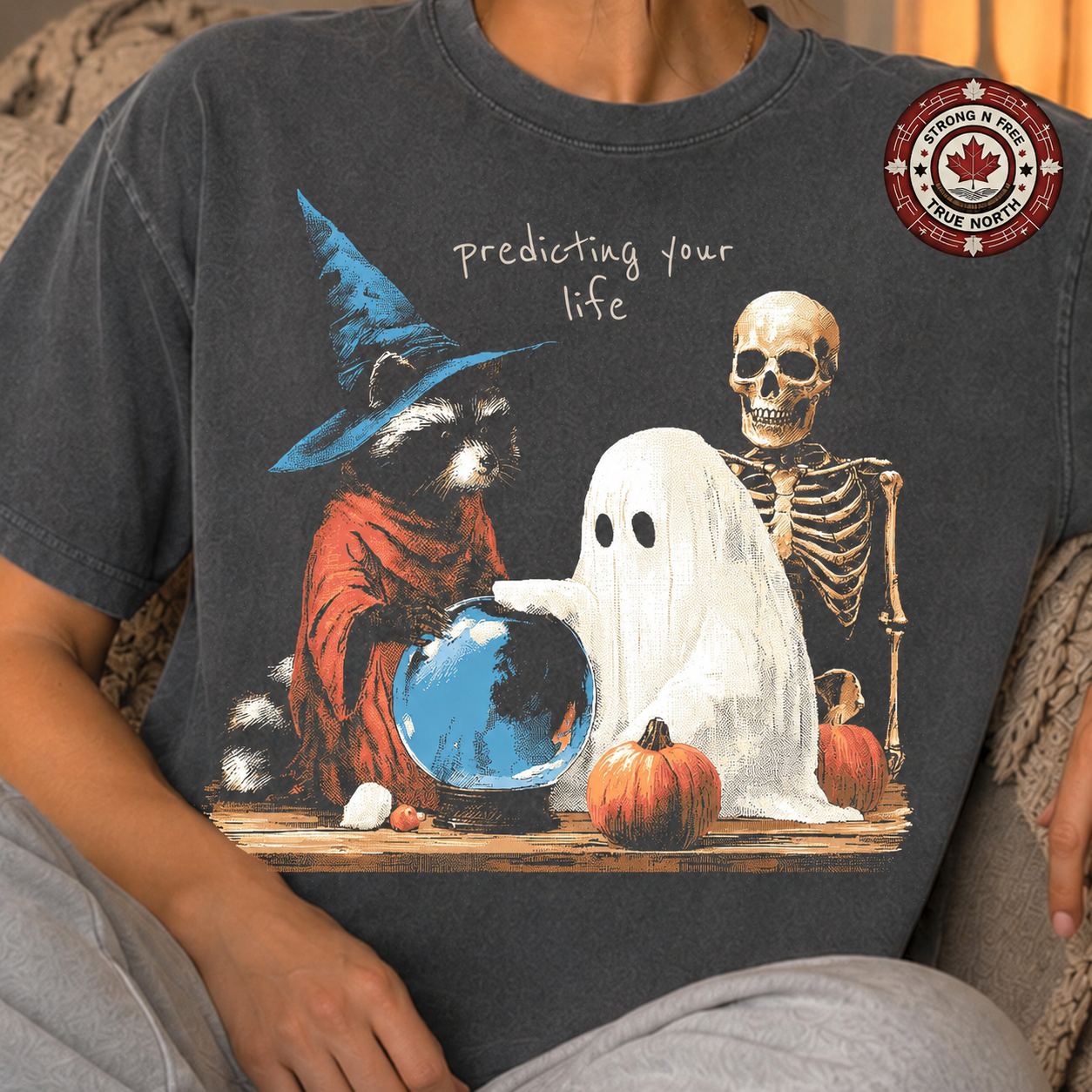 Predicting your life witchy raccoon ready-to-press DTF transfer photo 2