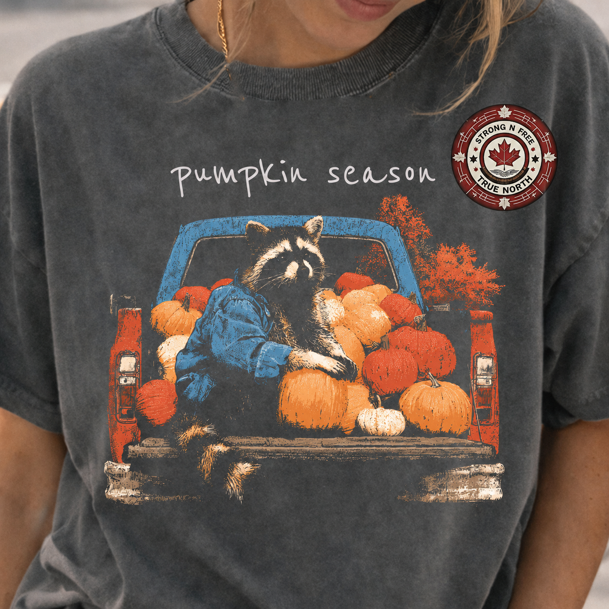 Pumpkin Season raccoon truck ready-to-press DTF transfer photo 1