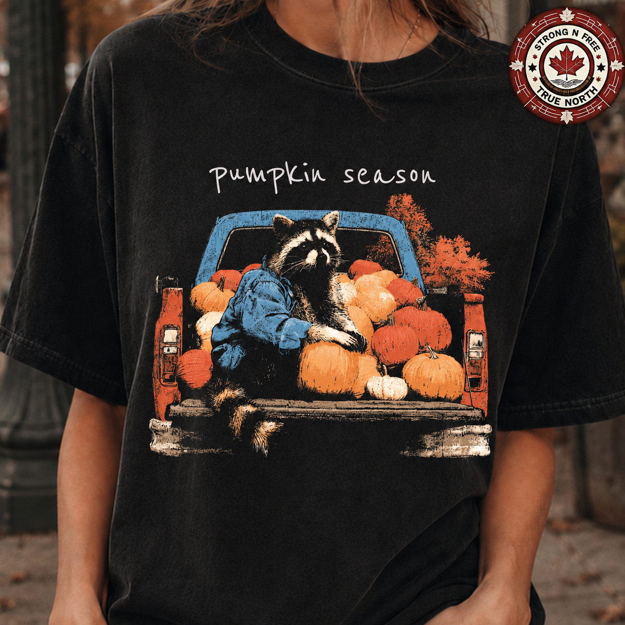 Pumpkin Season raccoon truck ready-to-press DTF transfer photo 2