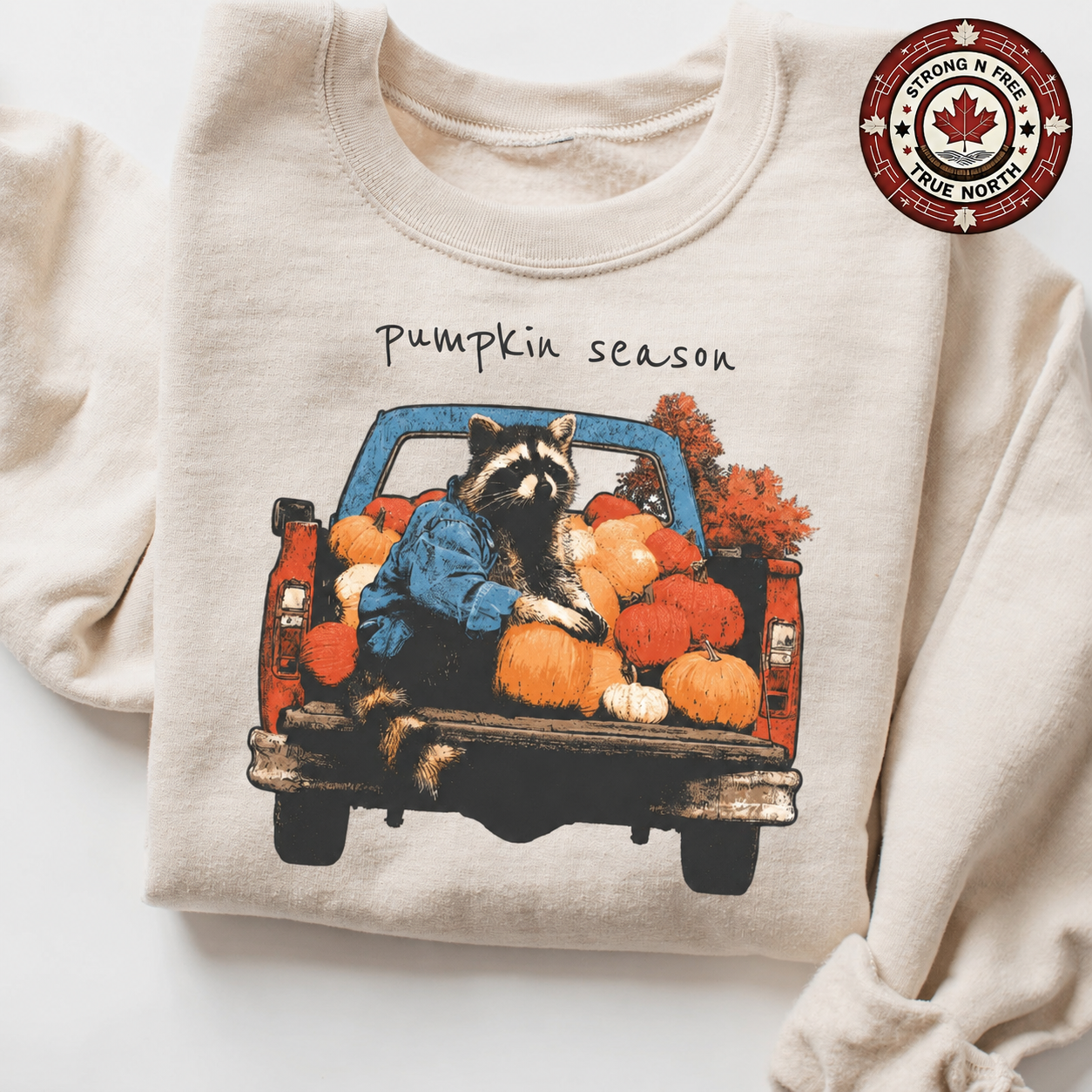 Pumpkin Season raccoon truck ready-to-press DTF transfer photo 3