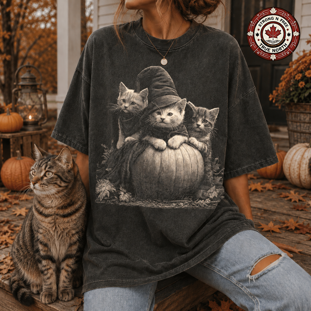 Witch cat kittens and pumpkin ready-to-press DTF transfer photo 1