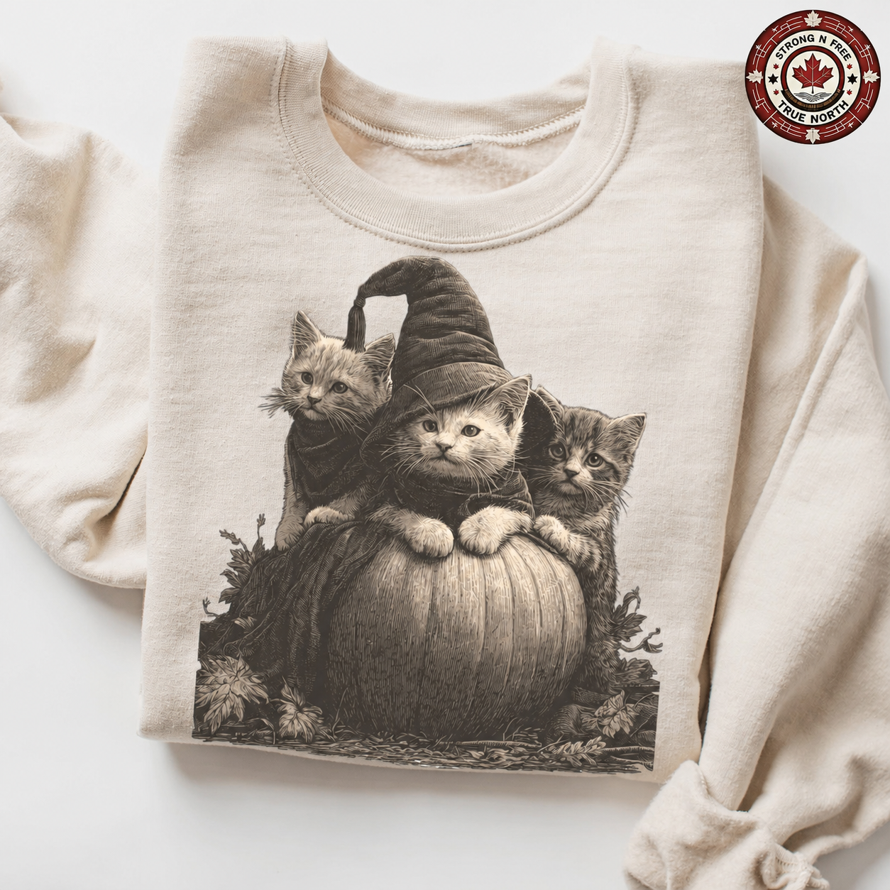 Witch cat kittens and pumpkin ready-to-press DTF transfer photo 3
