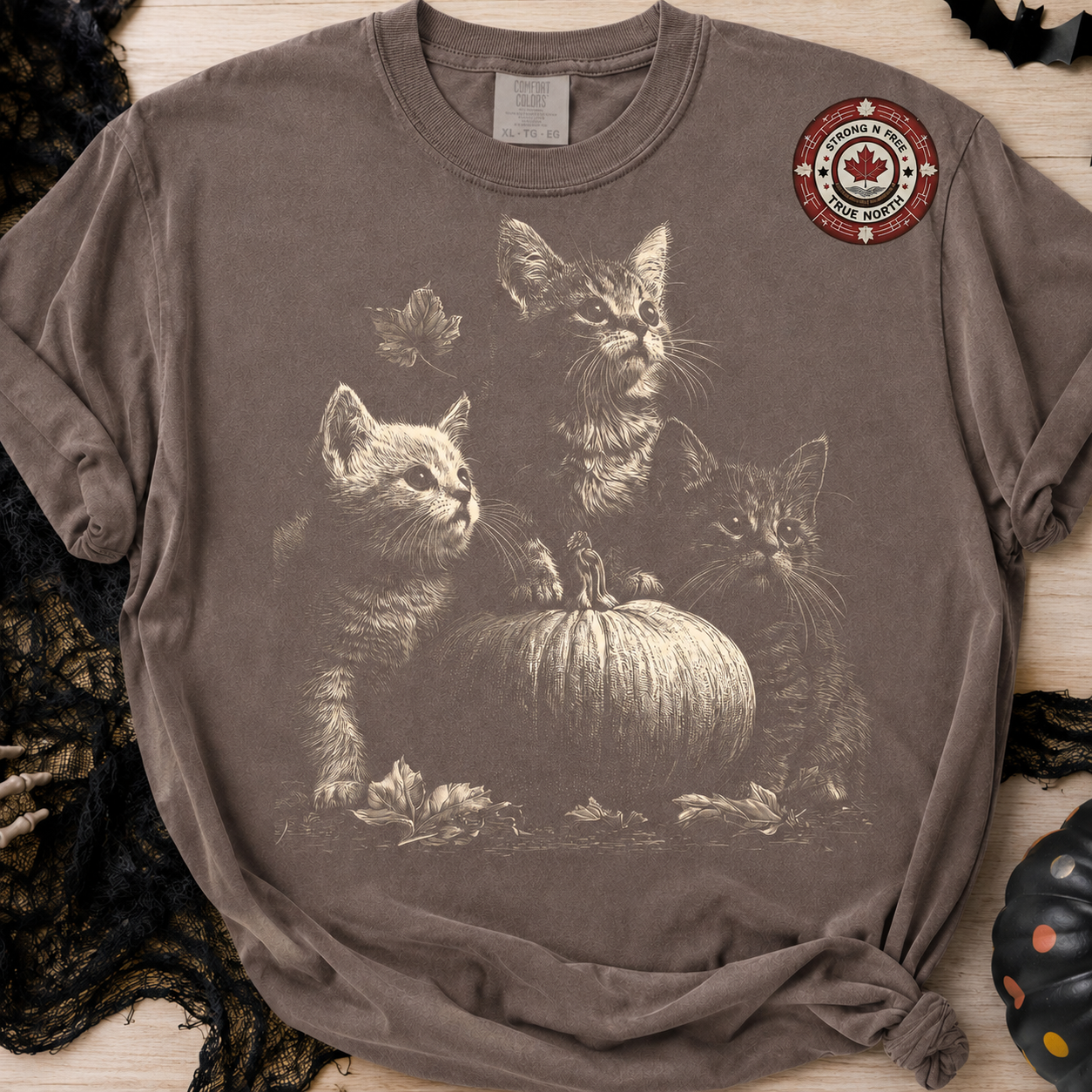Vintage autumn kittens and pumpkin ready-to-press DTF transfer photo 3
