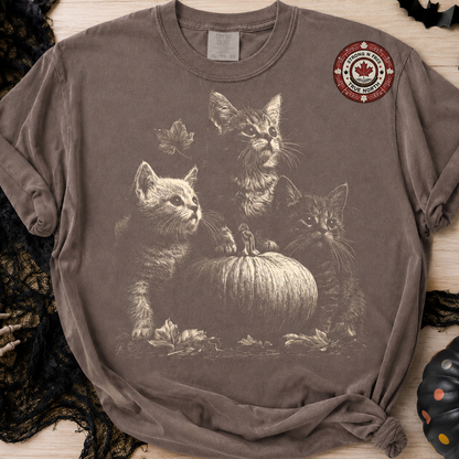 Vintage autumn kittens and pumpkin ready-to-press DTF transfer photo 3