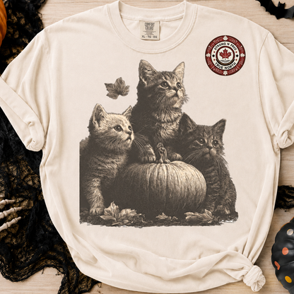 Vintage autumn kittens and pumpkin ready-to-press DTF transfer photo 4