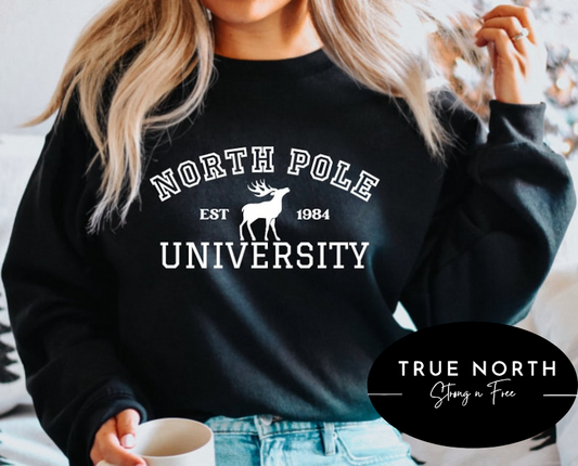DTF Transfer Christmas North Pole University
