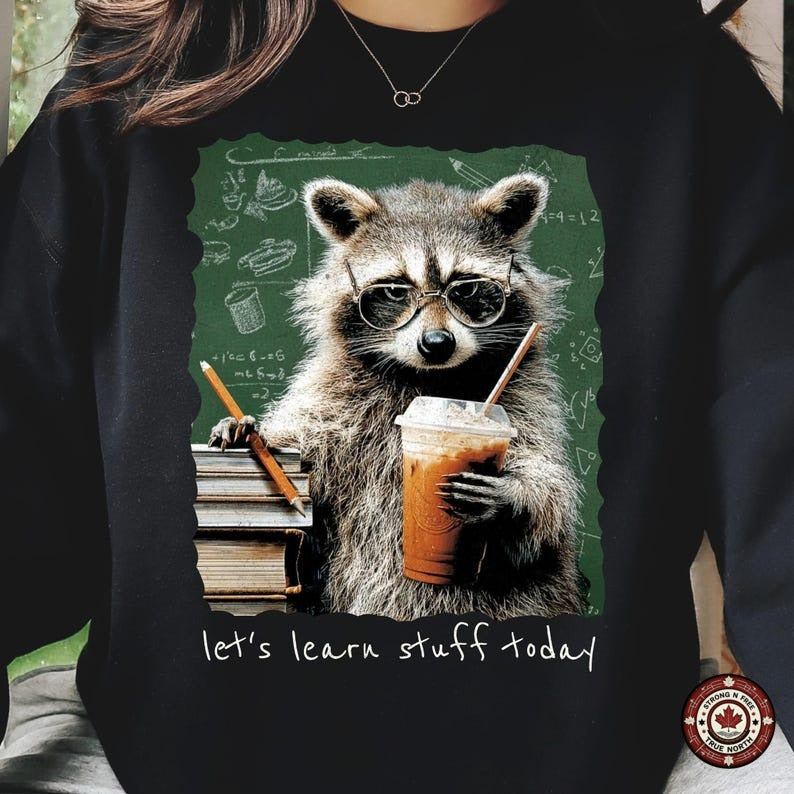 Let's Learn Stuff Today Teacher Raccoon DTF transfer mockup 1