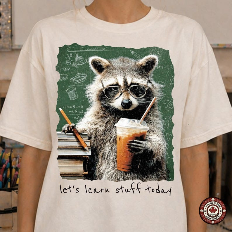 Let's Learn Stuff Today Teacher Raccoon DTF transfer mockup 2