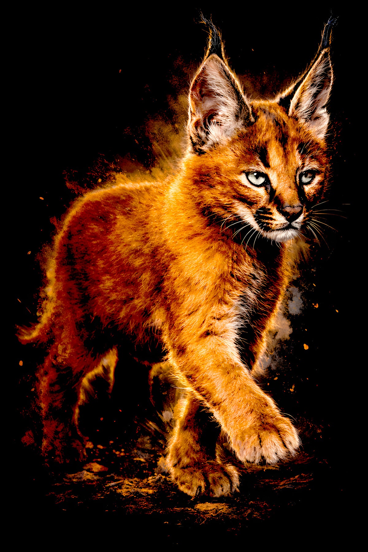 Tufted-Ear Caracal Kitten halftone DTF transfer artwork
