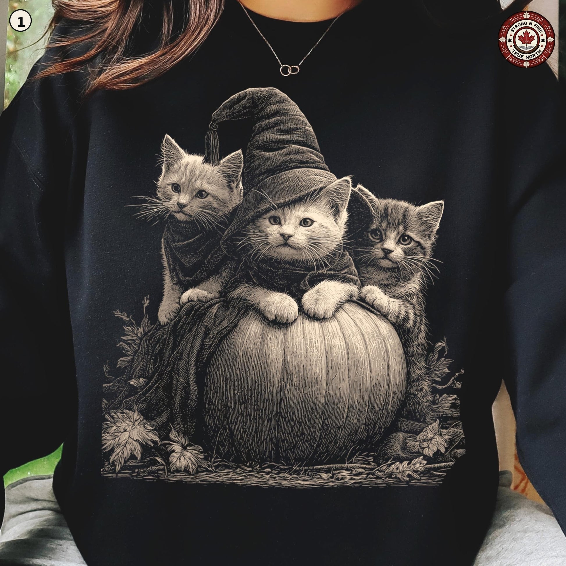 Witch cat kittens and pumpkin DTF transfer mockup 2, design 1