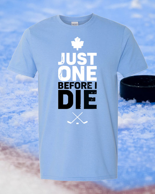 T-Shirt Or Sweatshirt  Vintage Maple Leaf's Just One .