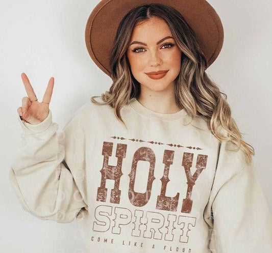 T-Shirt Or Sweatshirt Christian Holy Spirit .