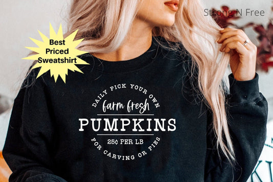 Fall Sweatshirt Women, Fall Sweater, Fall Pumpkin Sweatshirt, Fall Shirt, Pumpkin Patch, Hello Pumpkin, Autumn, Halloween For Women, For Men .